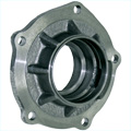 Nodular pinion support